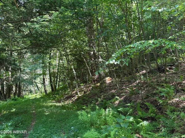 Bottle Run Rd, Williamsport, PA 17701