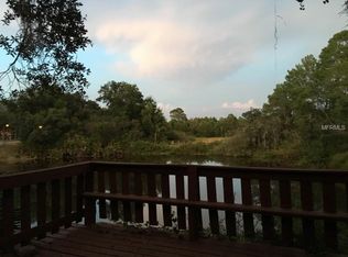 5245 Spring Run Ave, Orlando, FL 32819