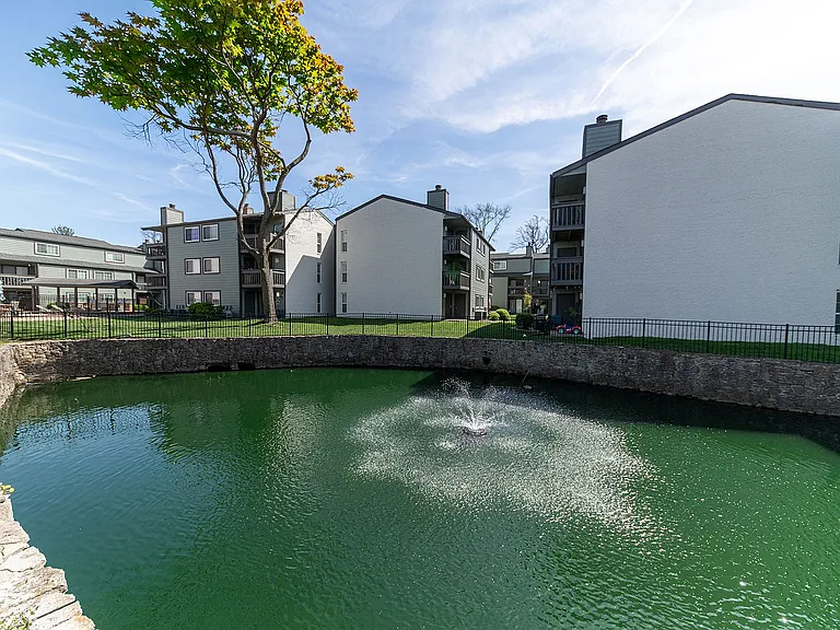 Serene Community Pond