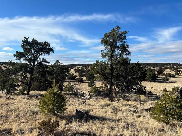 27 Equestrian Ln, Quemado, NM 87829