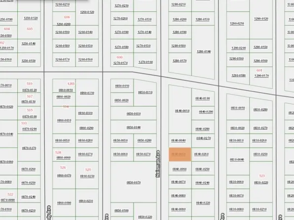 XXX NEISMAN Avenue, Interlachen, FL 32148