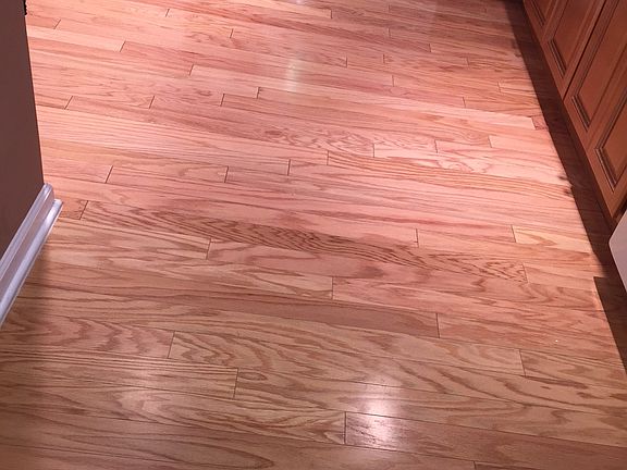 4th image of 623 Sophee Ln