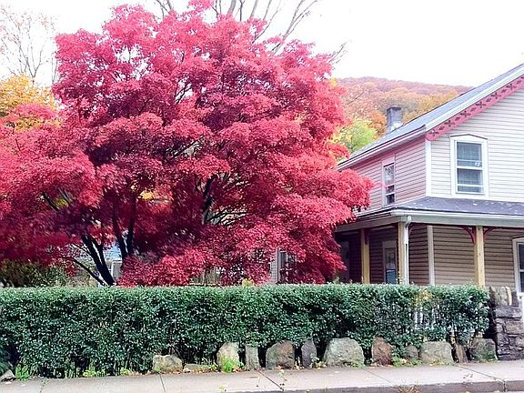4th image of 131 Mountain Ave