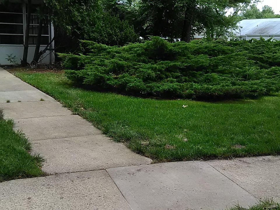 2nd image of 22 Carnation Drive #C