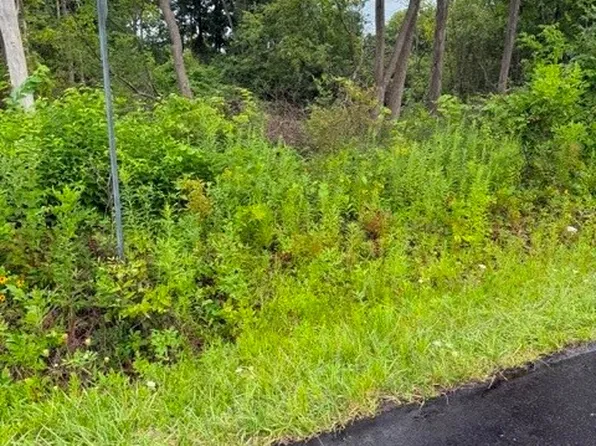 Birchwood Dr E Lot 46, Hamburg, NY 14075