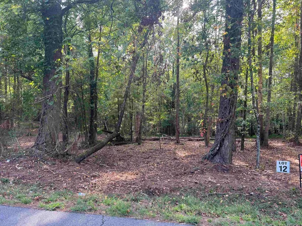 12 Kent Rock Rd, Loganville, GA 30052
