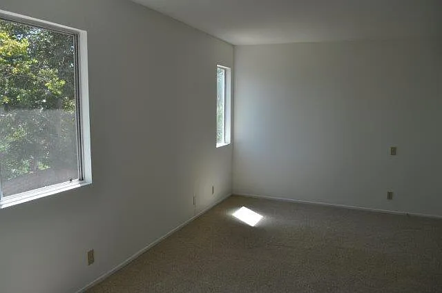 2174 Shadetree Ln — Photo 14