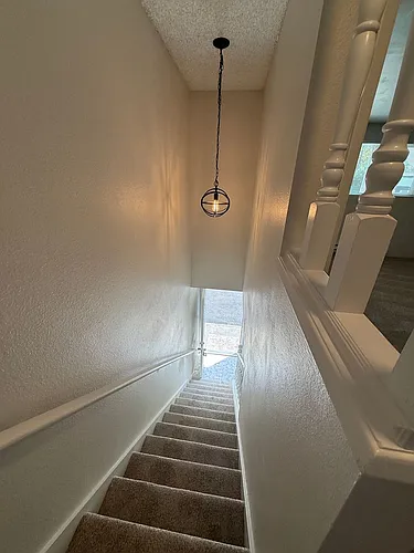 1017 Ttereve Dr #3 Photo 1