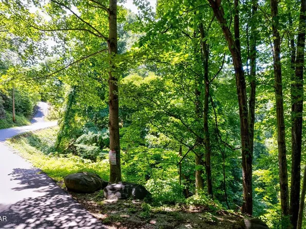 0 N Baden Dr Lot 19, Gatlinburg, TN 37738