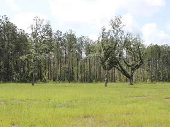 29658 Billy Joe Rd, Independence, LA 70443