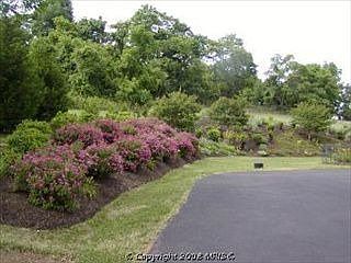 3rd image of 18201 Turnberry Dr
