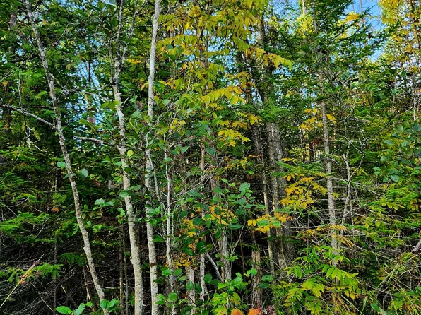 V/l 80ac State Rd, Kalkaska, MI 49646