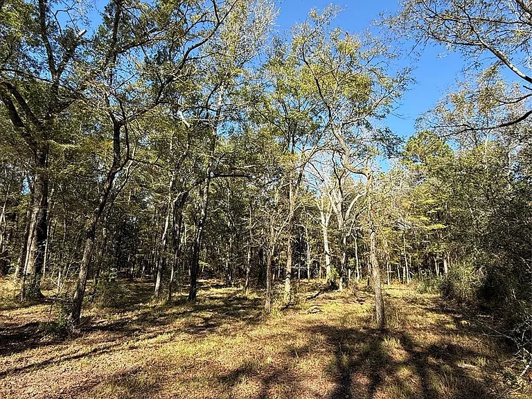 9367 FM 149 Rd — Photo 3