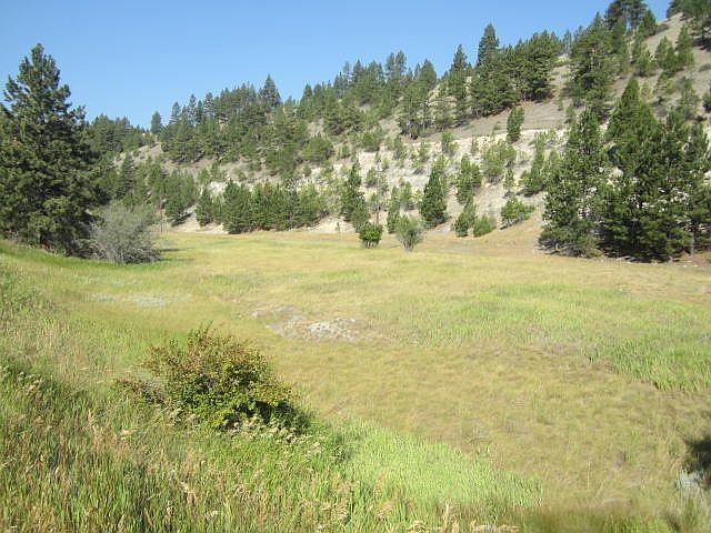 2nd image of 1340 Oro Fino Gulch