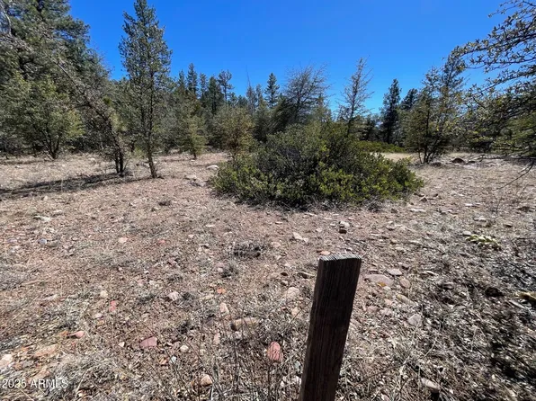 194 S FREDS Road #-, Young, AZ 85554