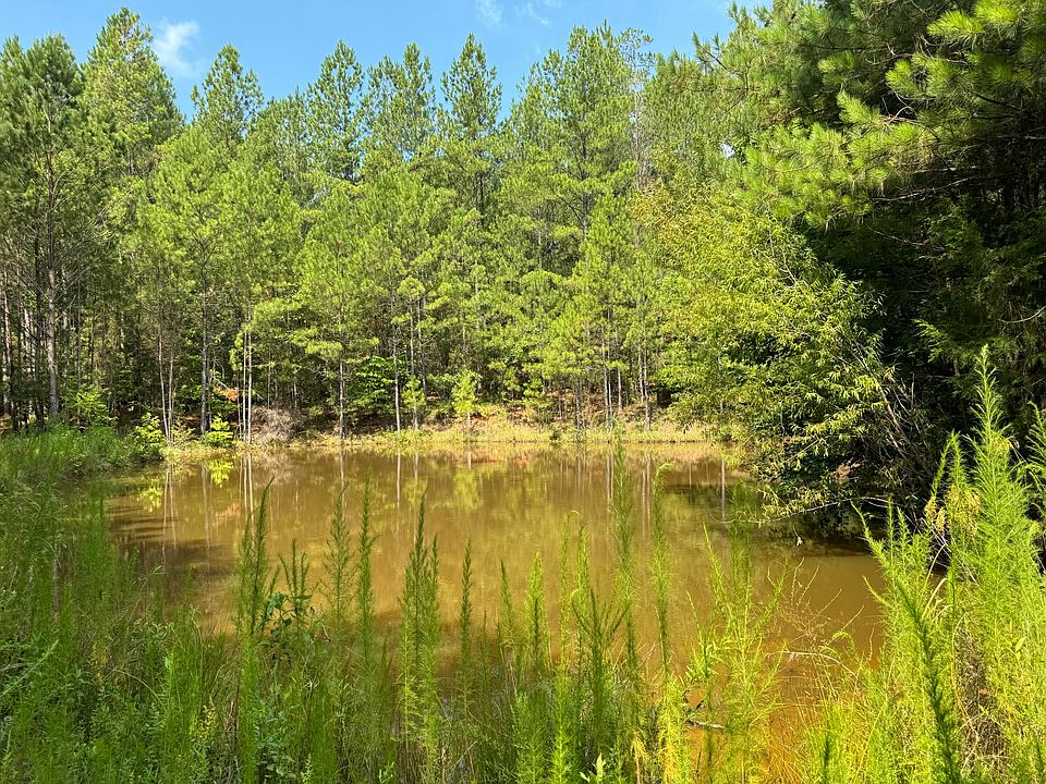 2nd image of Walker Rd