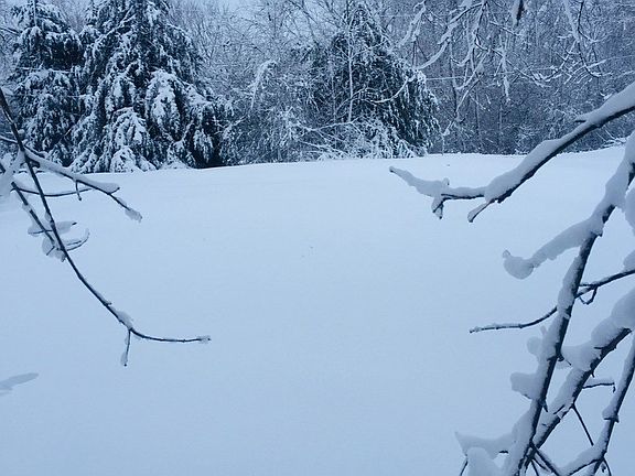 3rd image of 22228 W Calvin Dr
