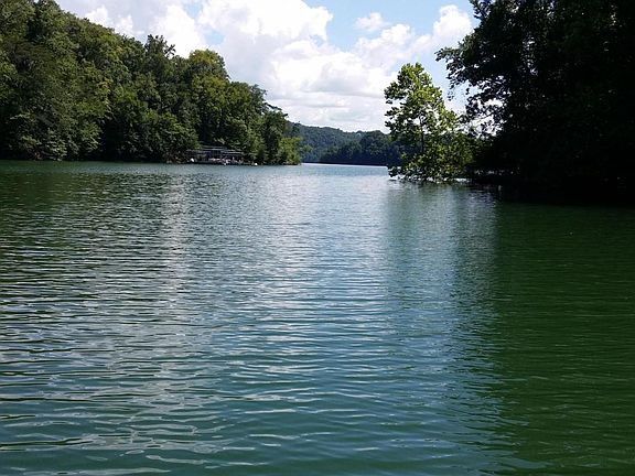 Image 5: Dock view