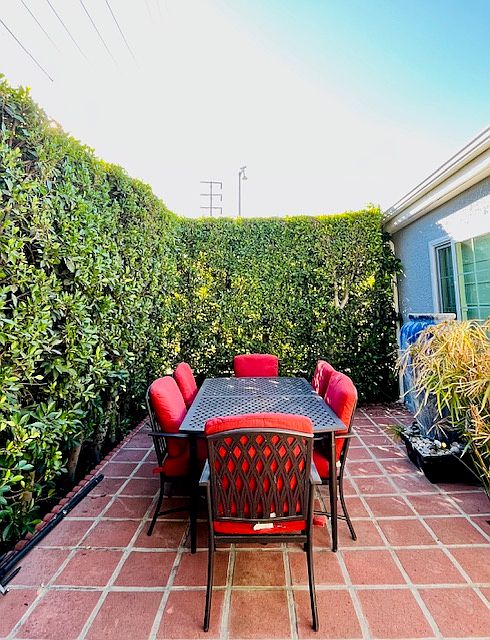 Frontyard