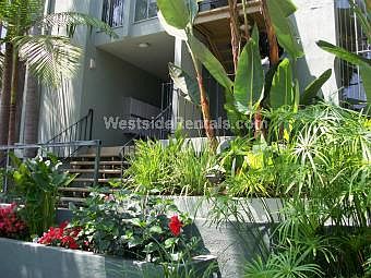 1st image of 929 Larrabee St APT 11