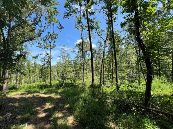 3708 E New Roe Rd, Adolphus, KY 42120