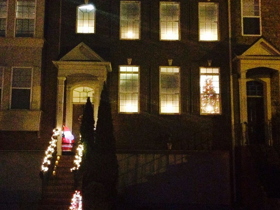 Holiday lights