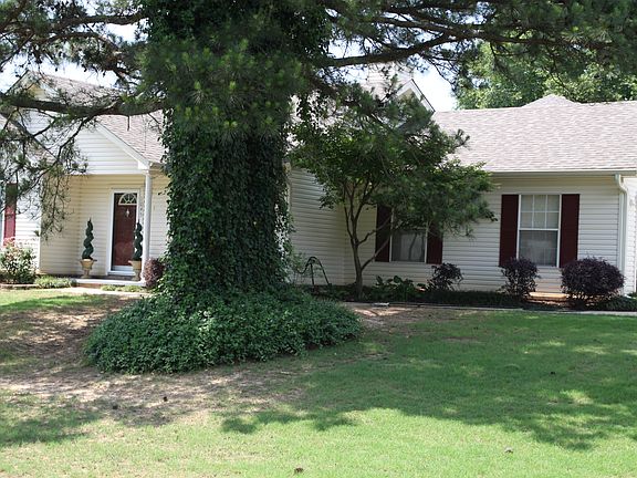 Large Pine Tree & Ivy