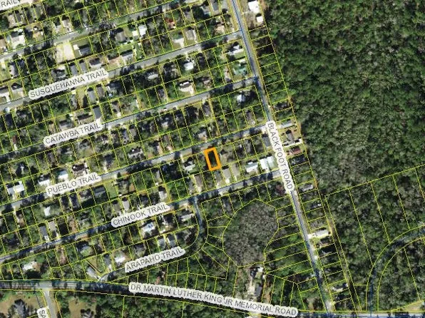 Xxx Chinook Trl, Crawfordville, FL 32327
