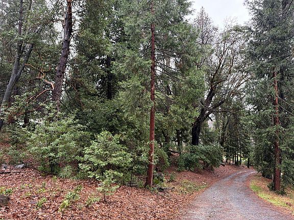 4th image of 3128 Calico Pl