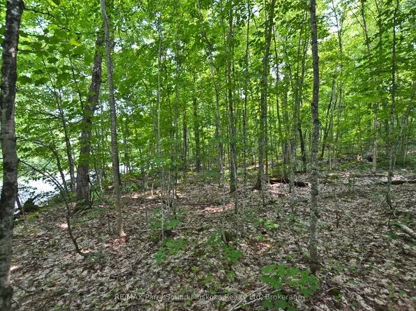 0 Lyndsey Ln #1, McKellar, ON P2A 0B5
