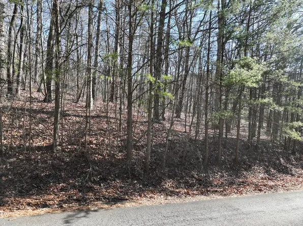 57 Saint Andrews Way, Ellijay, GA 30536
