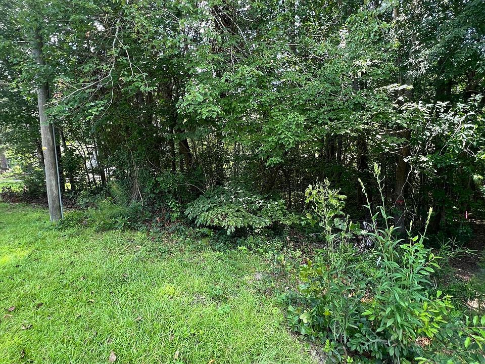 2nd image of 301 Spring Lake Dr Lot 257