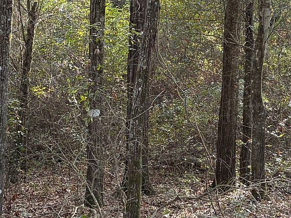 5th image of LOT 4 Old Faceville Rd