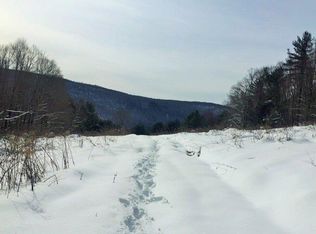 Gohan Rd, Schenevus, NY 12155