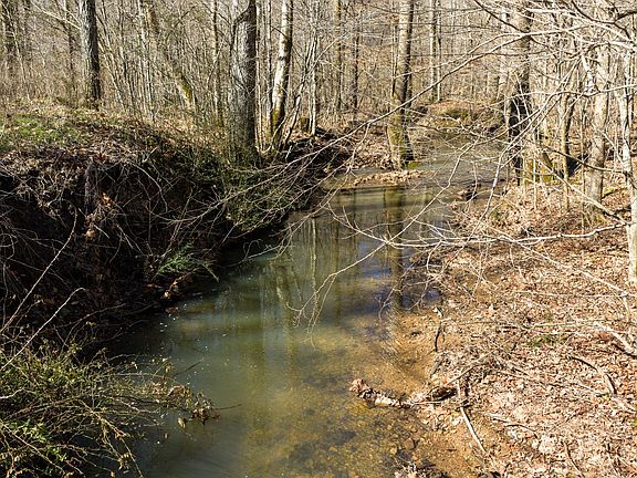 5th image of 0 Wildcat Rd