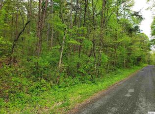 68 Rushy Springs Rd, Talbott, TN 37877