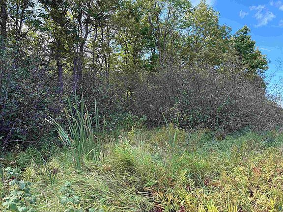2nd image of 4981 Hwy 33 N