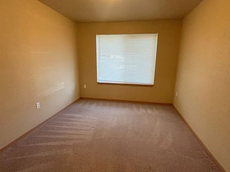 1647 Shindig Dr — Photo 18