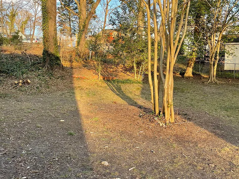 Nice back yard