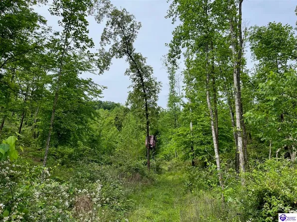 4 Boiling Springs Rd, Munfordville, KY 42765