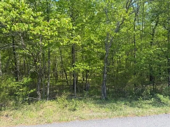 O'Lees Gap Rd, Fincastle, VA 24090