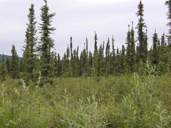 Nhn Jade St, Fairbanks, AK 99709