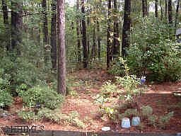 5th image of 7 Windflower Ct