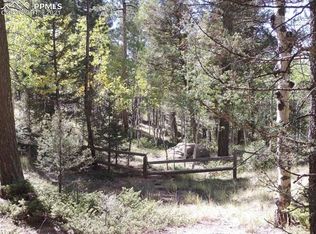 1325 Pinewood Rd, Florissant, CO 80816