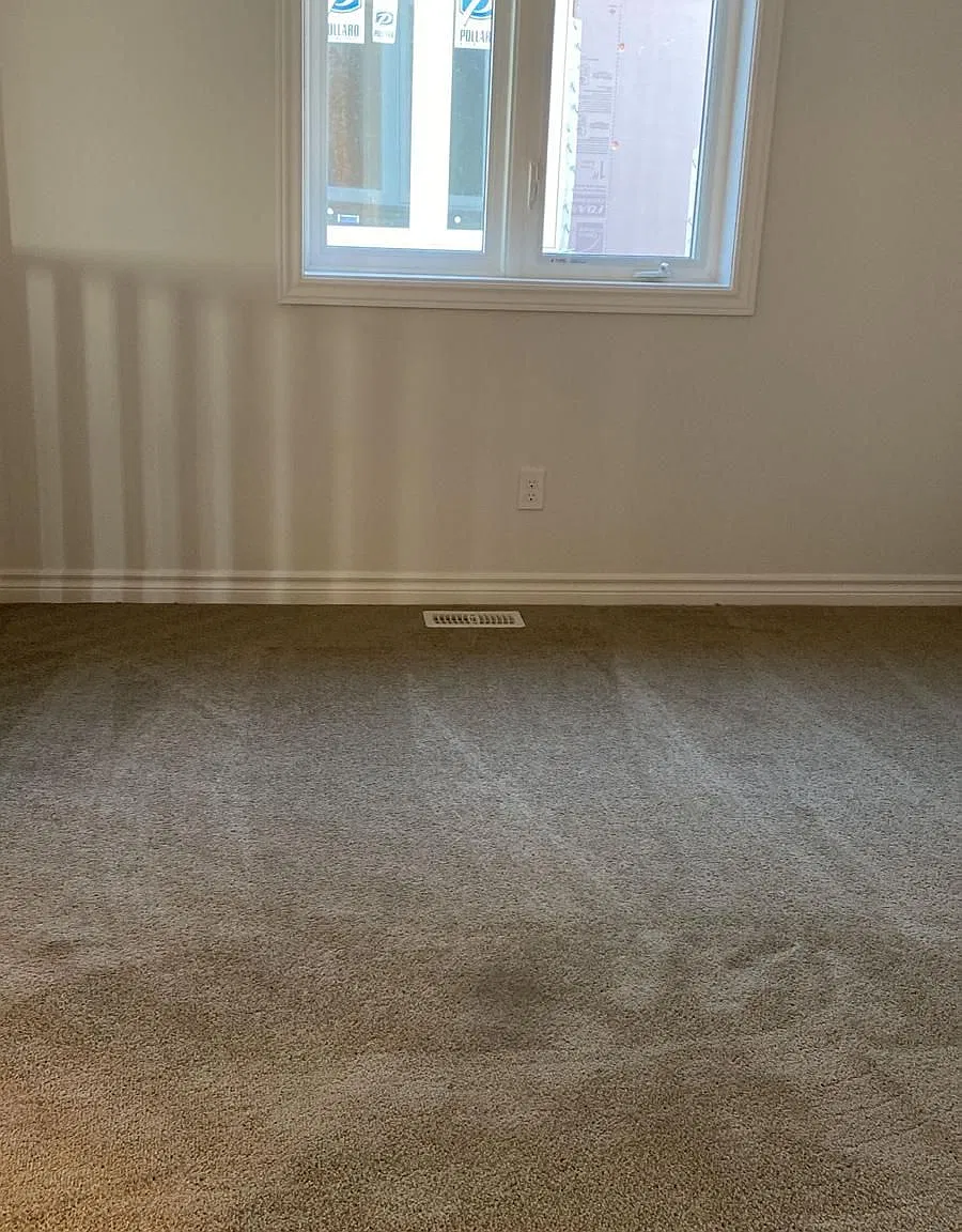 3 bed, $2,650 — Photo 4