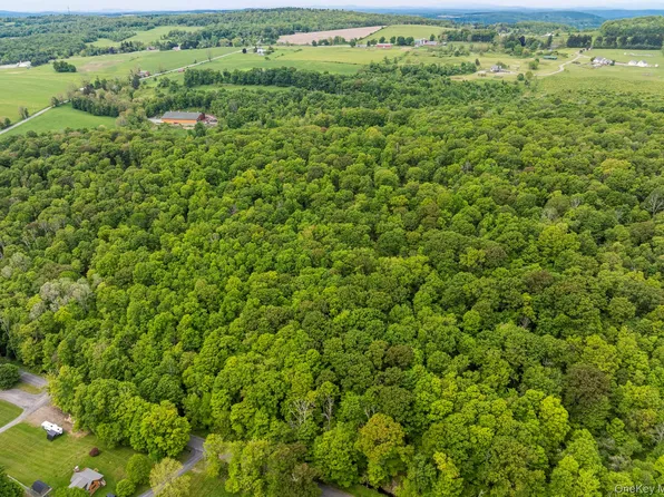 A Skunks Misery Road, Millerton, NY 12546