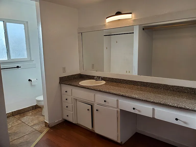 Master bathroom