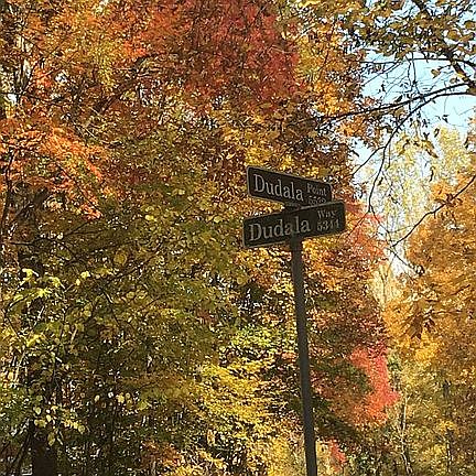 Driving on to the street