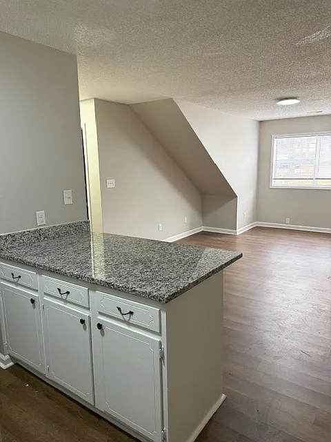 Wiles Development, LLC - 452 8th Avenue Southeast - 456 — Photo 3