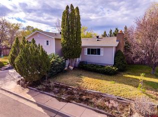 1701 E Downey Ave, Cortez, CO 81321